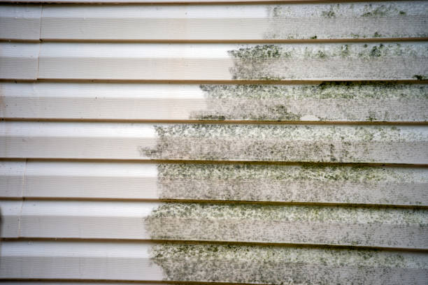 Best Storm Damage Siding Repair  in Breckenridge, MI