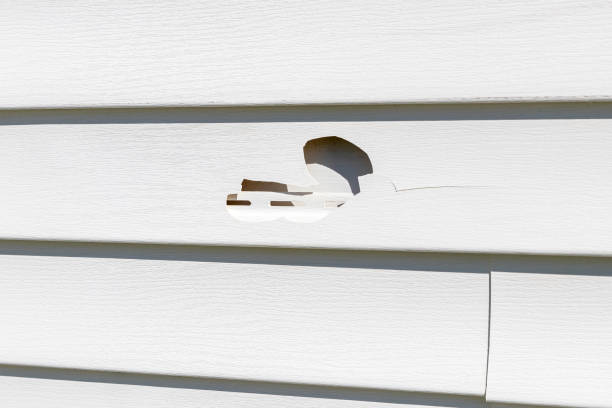 Affordable siding repair and maintenance services in Breckenridge, MI